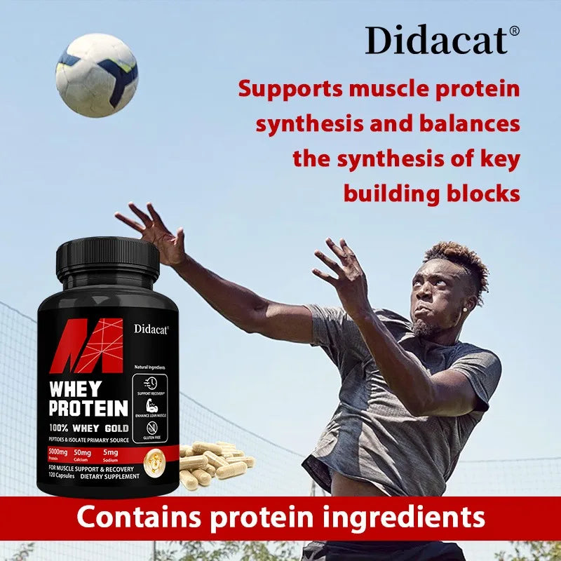 Didacat Whey Protein Concentrate, with 5000mg Protein, Gluten Free & Non-GMO, Boost Immunity and Support Post-exercise Recovery Peaceful Pleasures Health and Wellness