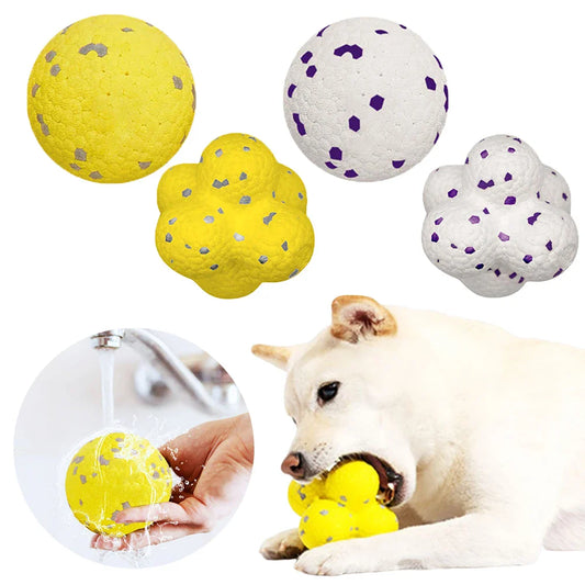 HOBBAGGO Squeaky Dog Ball – Interactive Chew & Teeth Clean Toy Dog Chew Toy Oasis Select