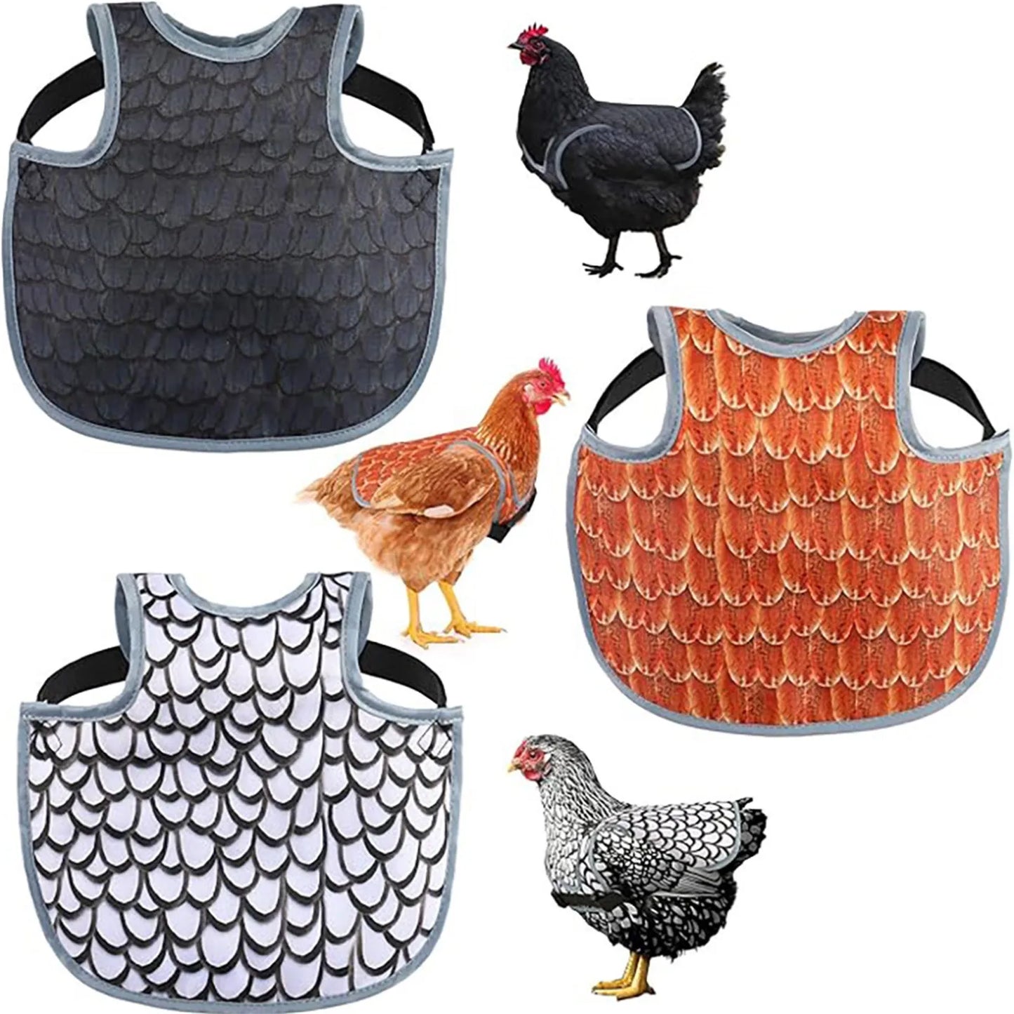 Chicken Saddle for Hens – Adjustable Feather Protector