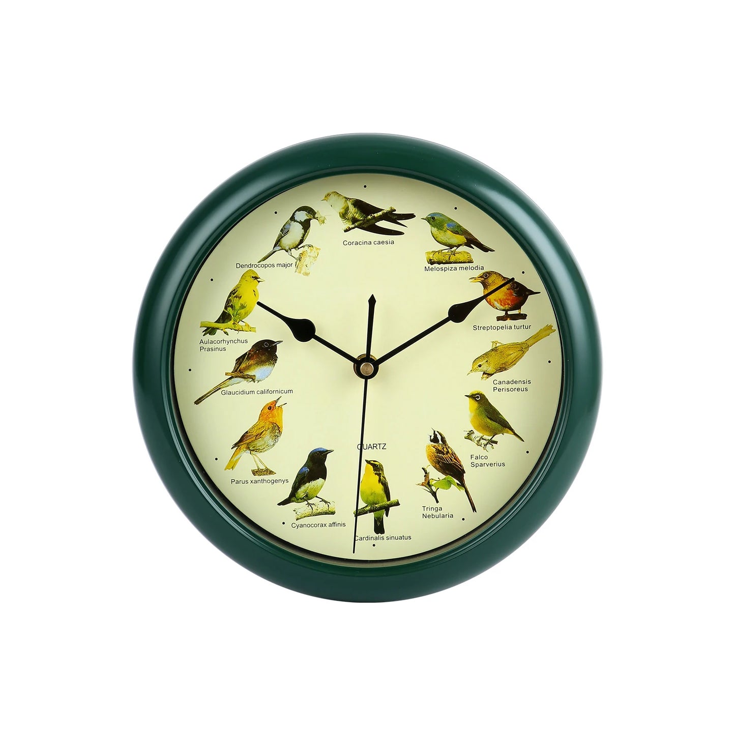 Wall Hanging Clock Decor Singing Bird Wall Clock Bird Clock With Sound Hanging Clock Decor for Kitchen Walls Shelf Decoration Peaceful Pleasures Health and Wellness B