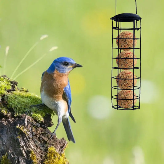 Suet Bird Feeder Birds Grease Ball Holder Outside Bird Feeder Dumplings Grease Ball Rack Outdoor Food Dispenser for Wild Birds Peaceful Pleasures Health and Wellness