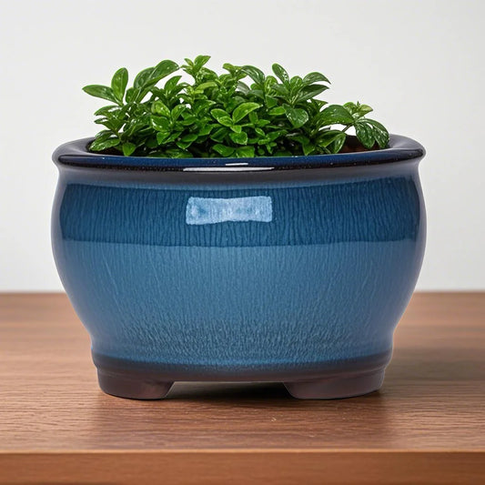 Ceramic Garden Planter Pots Ceramic Plant Pots with Drainage Holes for Indoor Flowers Cactus Herbs Aloes Peaceful Pleasures Health and Wellness