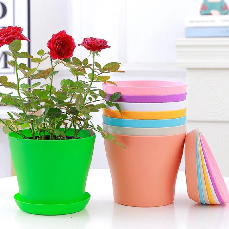 5-Size Round Plastic Planter Pots with Tray | Succulents & Bonsai
