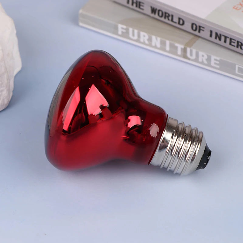 Reptile UVA Heating Bulb E27 | 25W–100W Basking & Night Heat