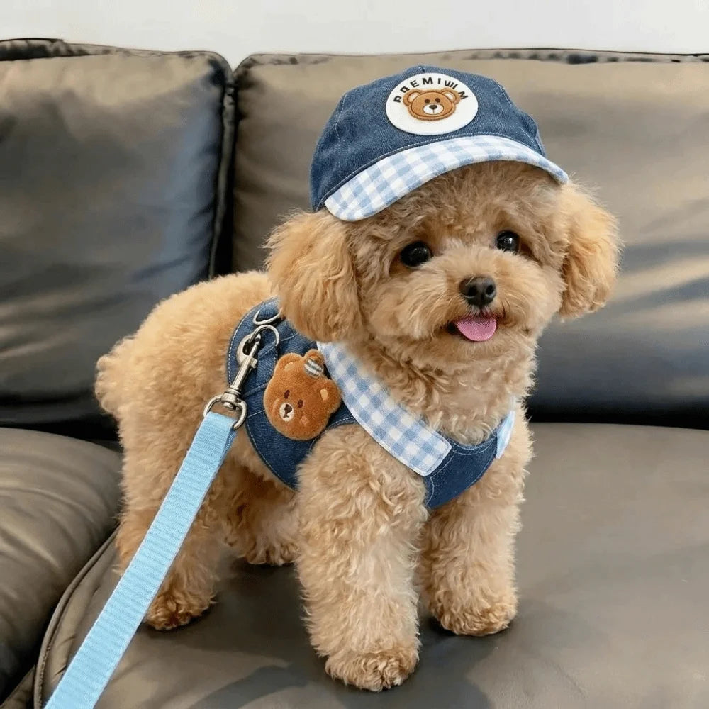 Breathable Dog & Cat Harness Leash Set with Hat | XS–XL