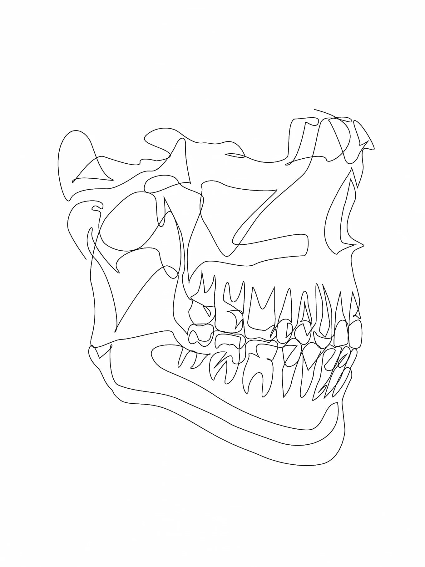 Human Anatomy Skeleton Canvas Wall Art | Medical Line Art Poster