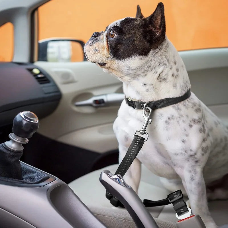 Dog Car Harness Set | Retractable Seatbelt Tether & Folding Bowl