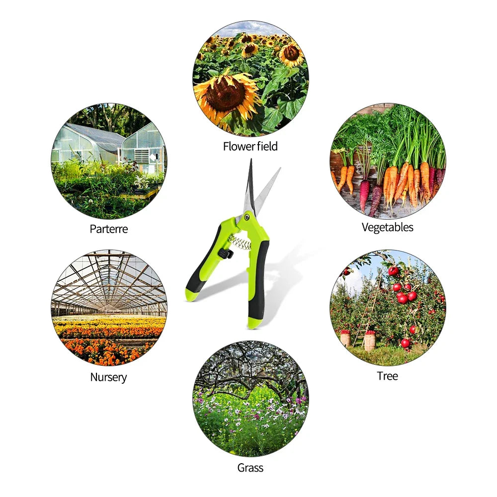 Garden Pruning Shears Stainless Steel Plants Fruit Grape Picking Scissors Horticulture Leaf Trimmer Straight Elbow Pruning Tools Peaceful Pleasures Health and Wellness