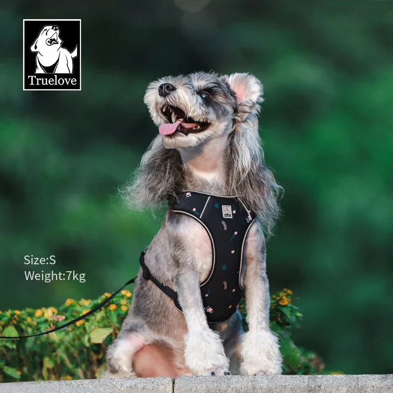 Truelove Lightweight Mesh Dog Harness & Leash Set TLH2918 Dog Harnesses Peaceful Pleasures Health and Wellness