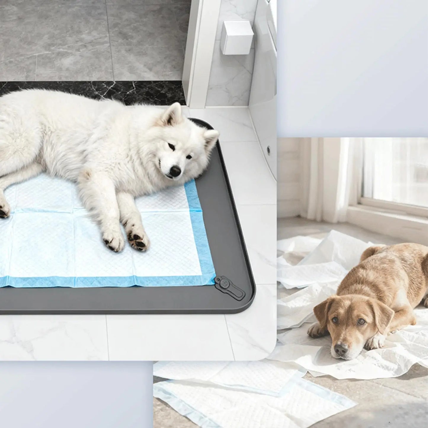 Silicone Puppy Pee Pad Holder | Leak-Proof Dog Potty Tray