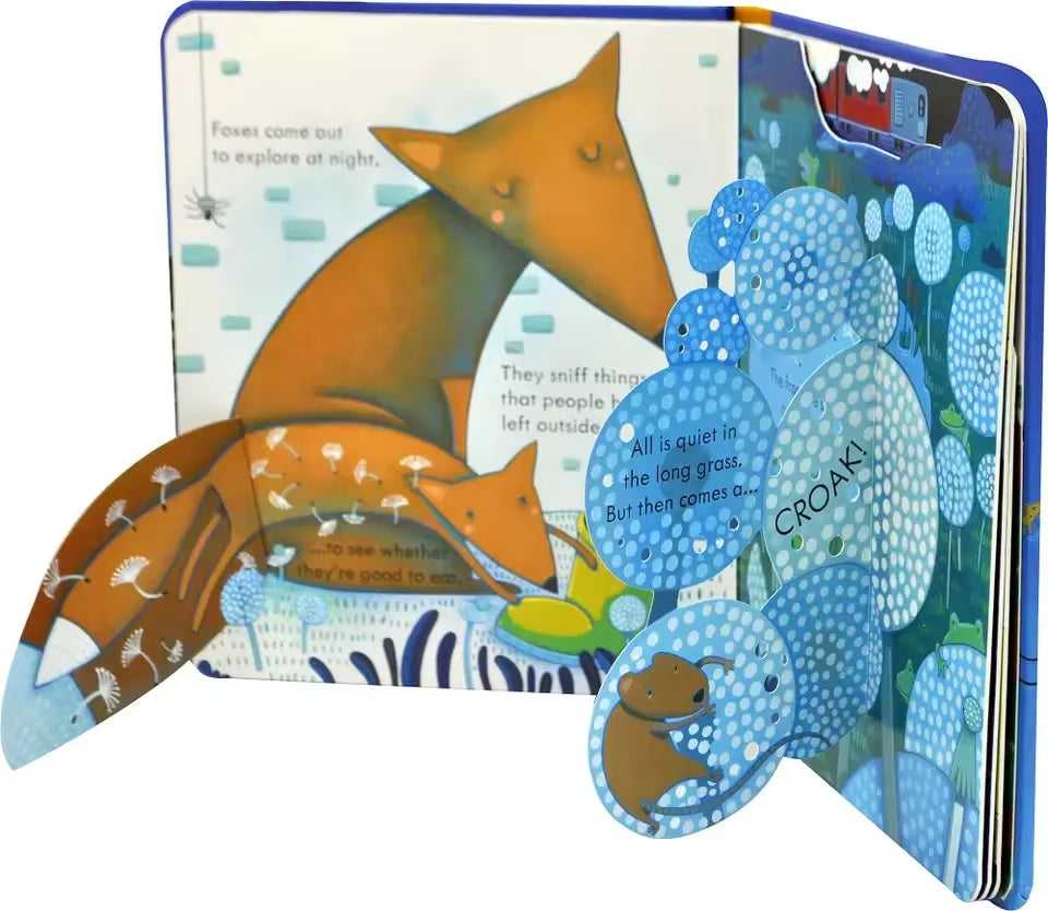 Usborne Peep Inside Night Time 3D Flap Educational English Picture
