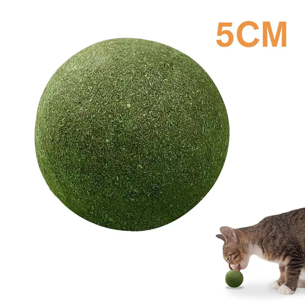 Natural Catnip Ball Toy – Teeth Grinding & Cat Enrichment