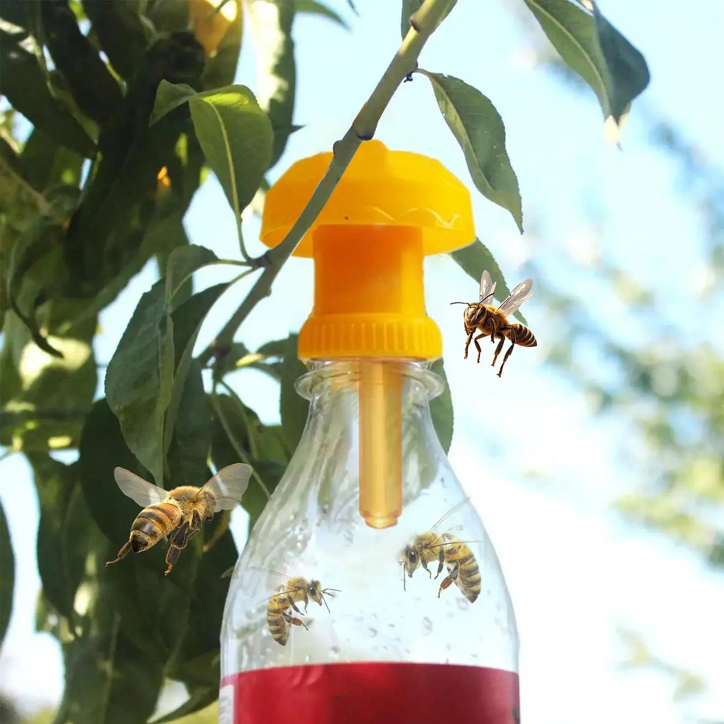 Fruit Fly Trap Refill Lures 10-Pack | Home & Garden Fly Control