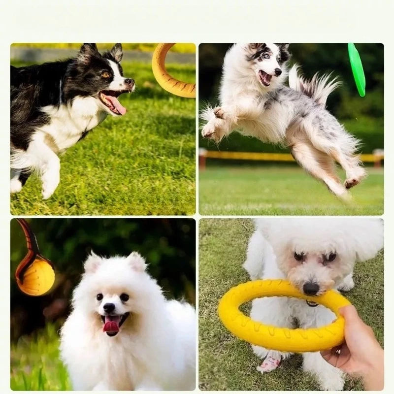 Indestructible Dog Ring Toy – Fetch, Float & Chew All Sizes