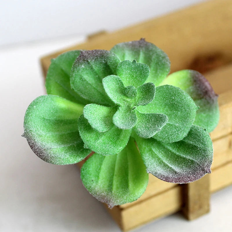 Artifical Plastic Succulent Plant Realistic Textured Cactus Mini Faux