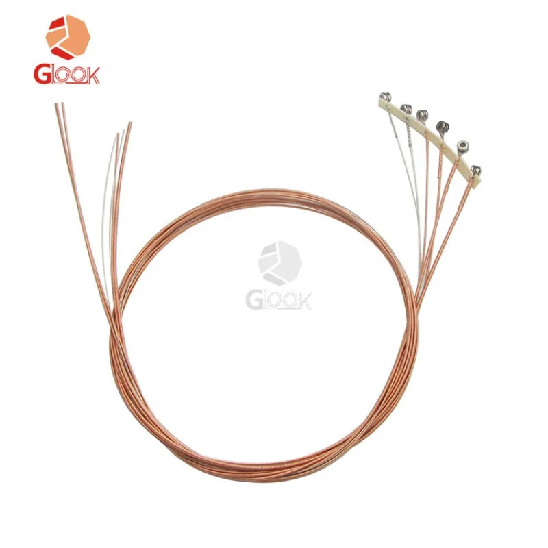 Alice Guitar Strings 010 Acoustic 1-6 String 6 AW466-L SL