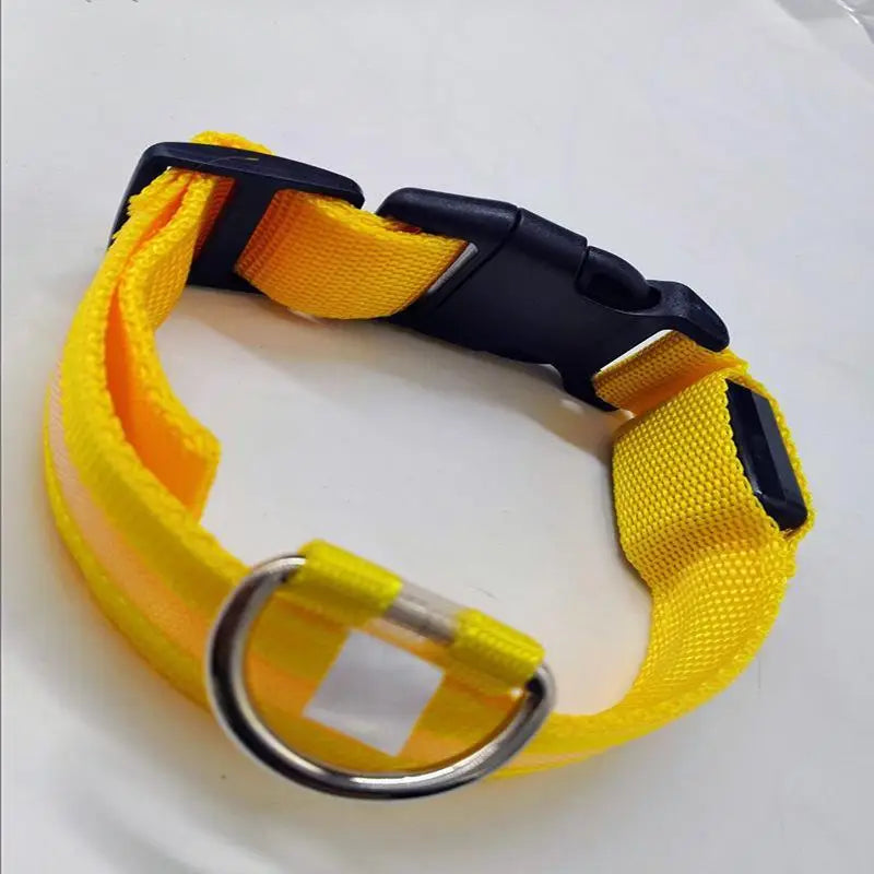 LED Light-Up Dog Collar – Glowing Safety Collar for Night Walks