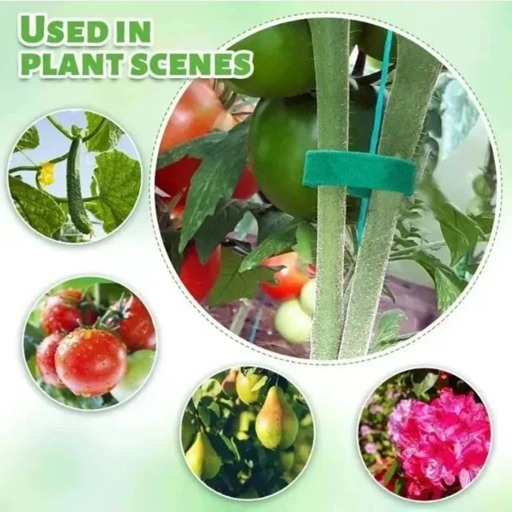 Nylon Plant Stretch Width 12mm Vine Fixing Strap Adjustable Green Fastener Tape Bamboo Rattan Wrap Support Garden Accessories Peaceful Pleasures Health and Wellness