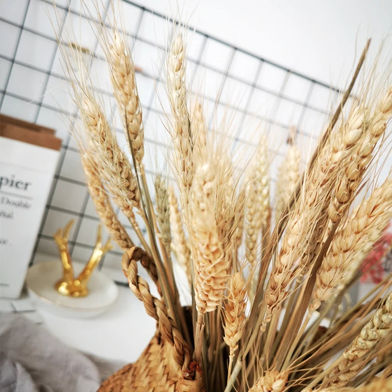 100pcs Dried Wheat Ears Bouquet – Wedding & Home Decor