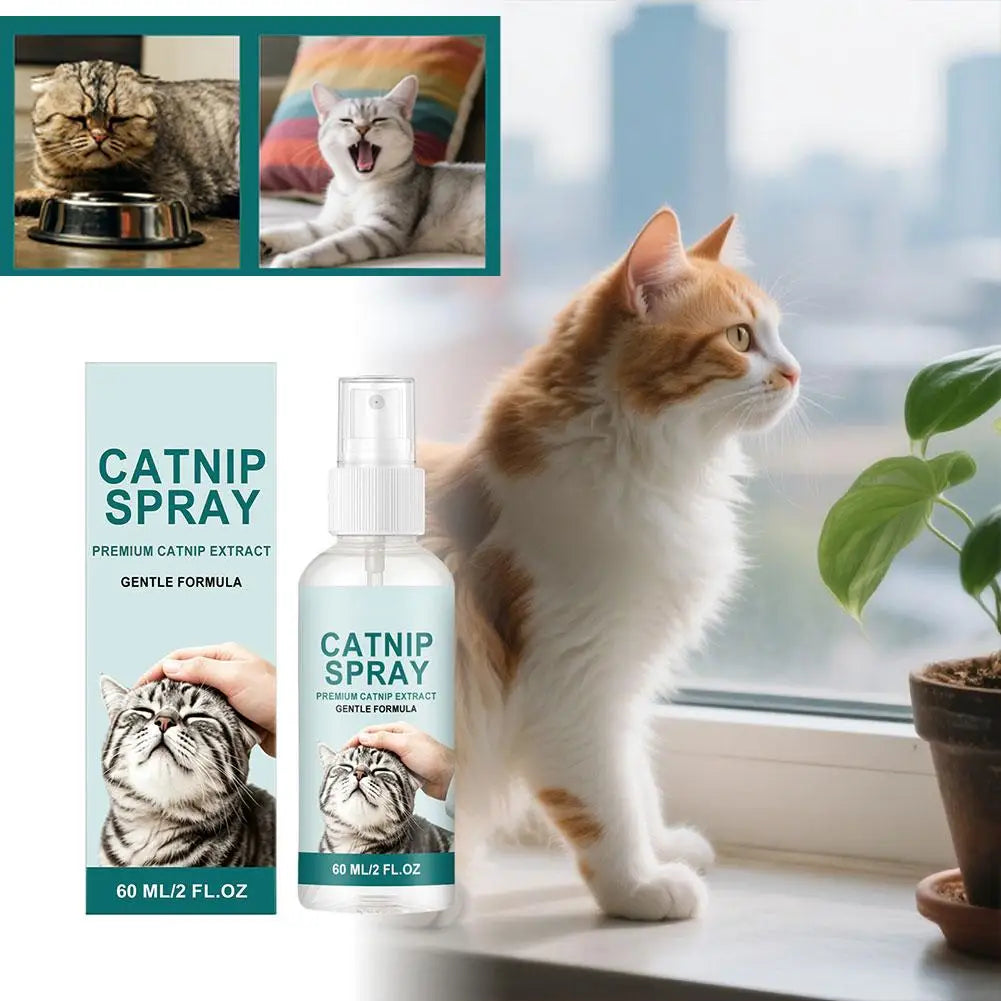 Catnip Spray for Cats – Calming, Stress Relief & Play