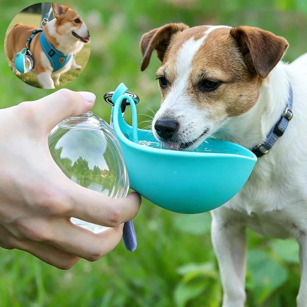 2-in-1 Portable Dog Water Bottle with Collapsible Silicone Bowl