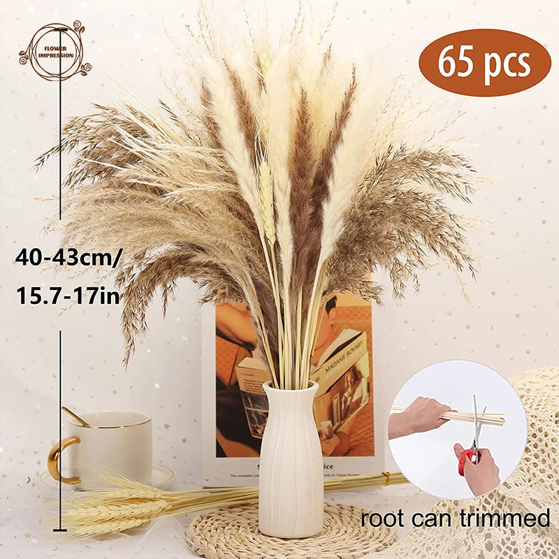 Natural Dried Pampas Grass Bunny Tails Bouquet | Boho Decor