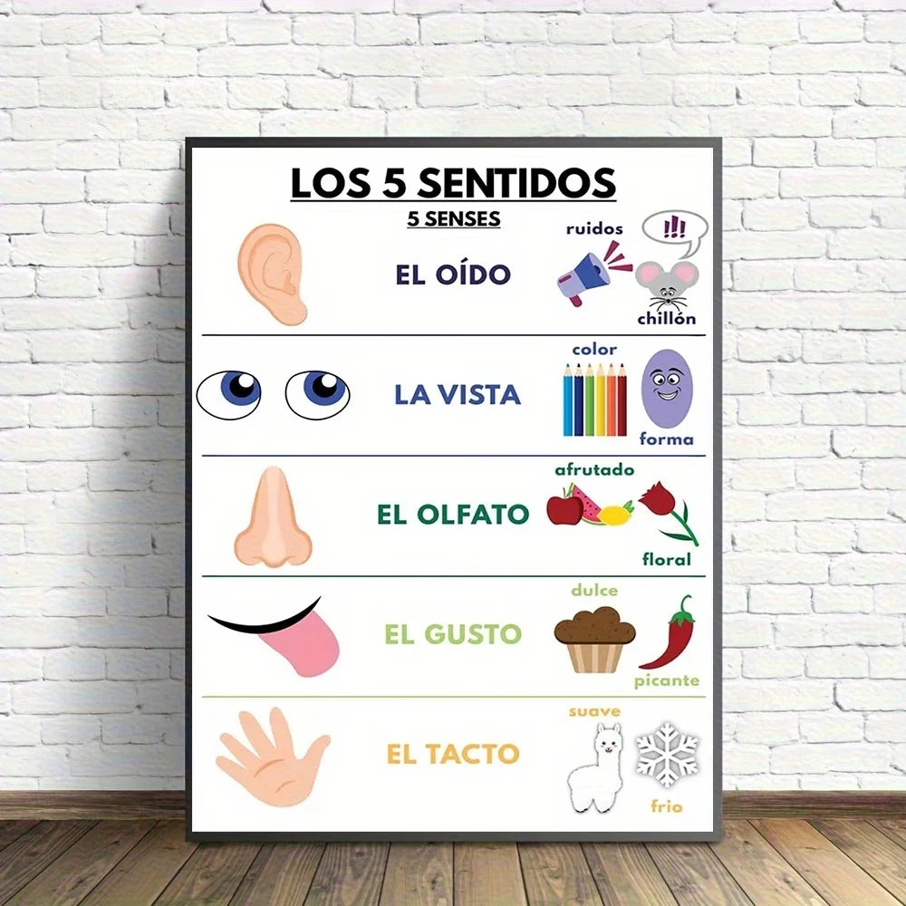 Spanish Sensory Learning Educational Canvas Wall Art Poster