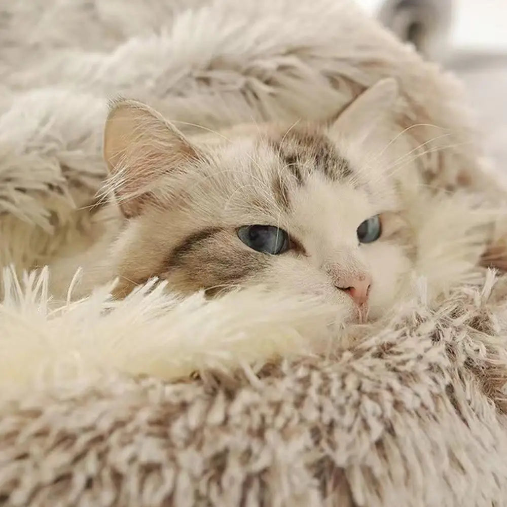 Winter Plush Round Cat Bed | Warm Semi-Enclosed Kitten Nest Cat Bed Peaceful Pleasures Health and Wellness