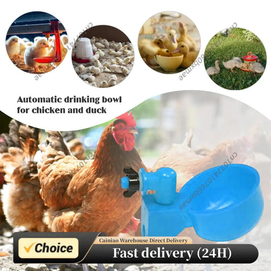 6pcs Poultry Feeder Drinker Hanging Automatic Poultry Drinking Water Bowl Plastic Practical Convenient for Farm Animal Feeding Peaceful Pleasures Health and Wellness