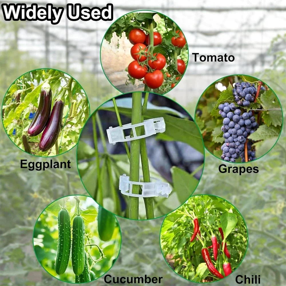 Plastic Plant Support Clips | Tomato Vine & Climbing Plant Clips