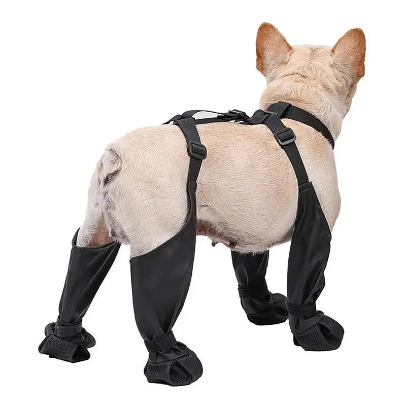 Waterproof Dog Boots | Anti-Slip Paw Protector Small & Medium Dogs