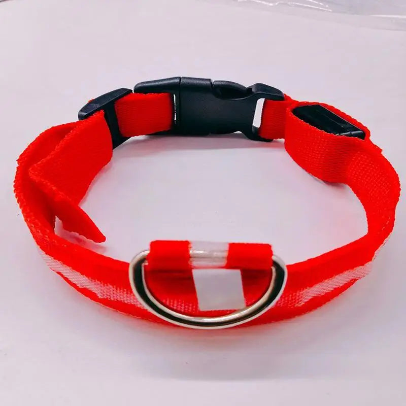 LED Light-Up Dog Collar – Glowing Safety Collar for Night Walks