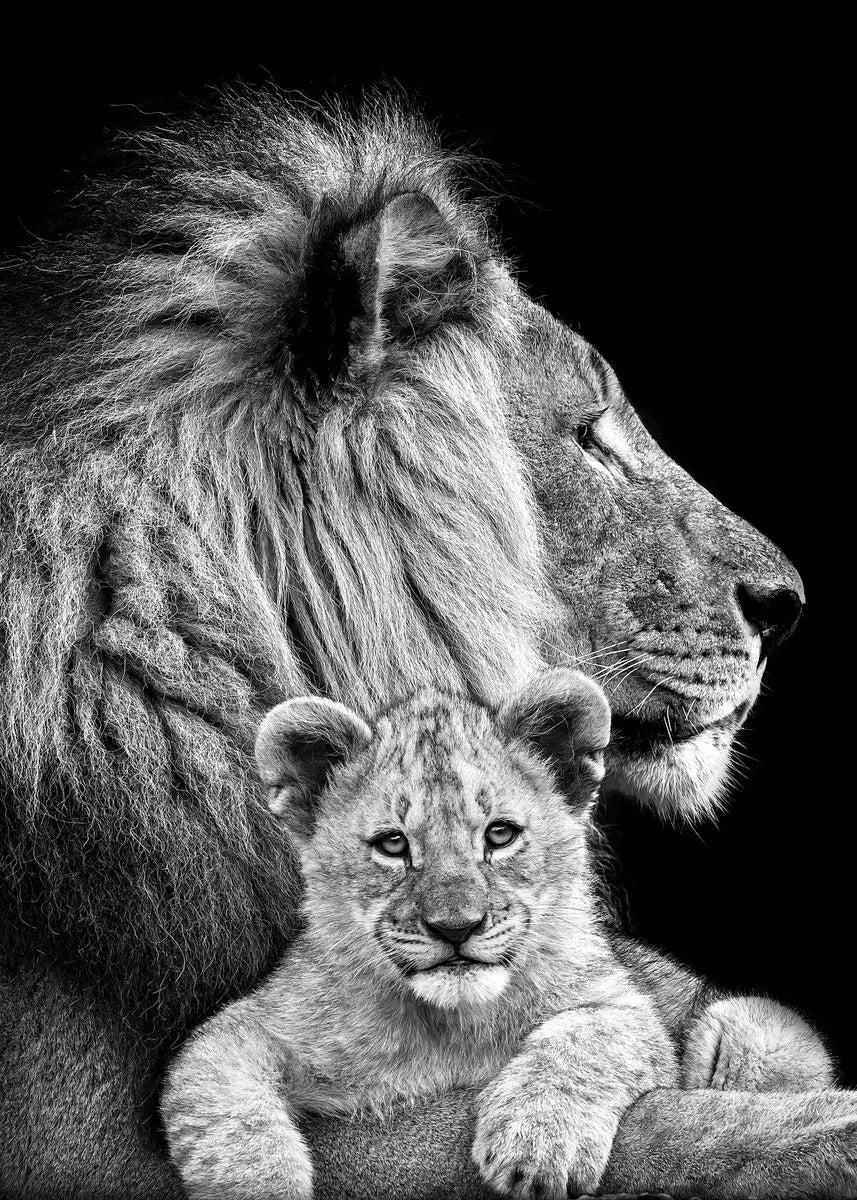 Black and White Animals Lions Family Elephant Giraffe Zebra Wall Poster Prints Canvas Painting Pictures for Kids Room Decor Peaceful Pleasures Health and Wellness