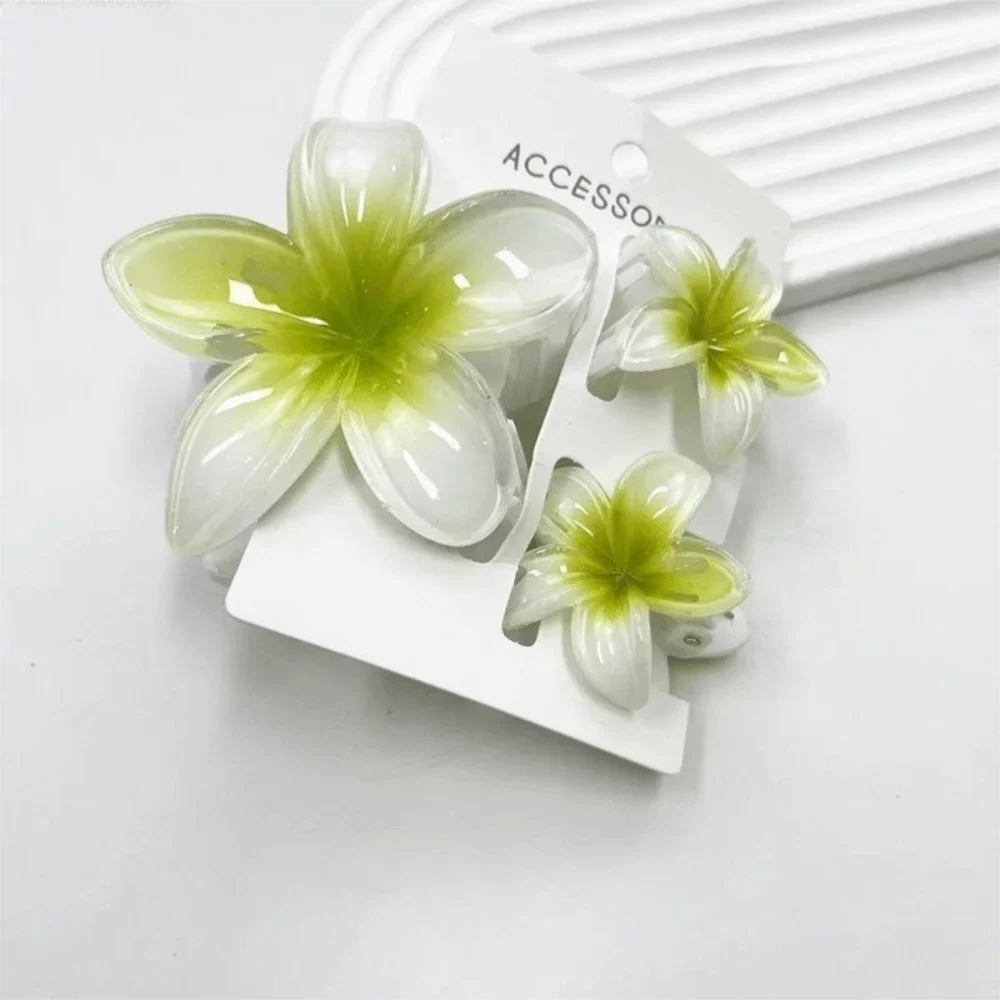 3-Pack Plumeria Flower Hair Claw Clips – Gradient Acrylic Set