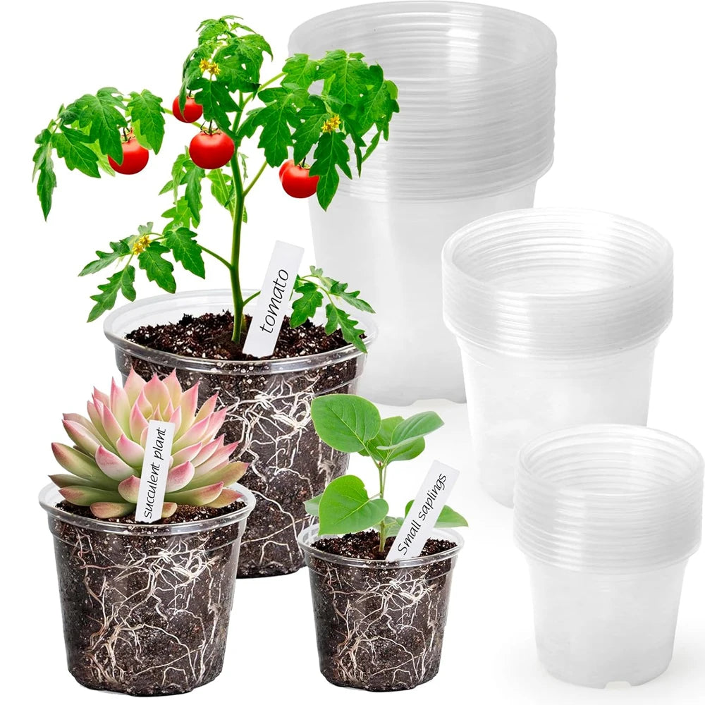 Clear Nursery Pots with Drainage Holes – Transparent Variety Pack Nursery Planter Pots Peaceful Pleasures Health and Wellness