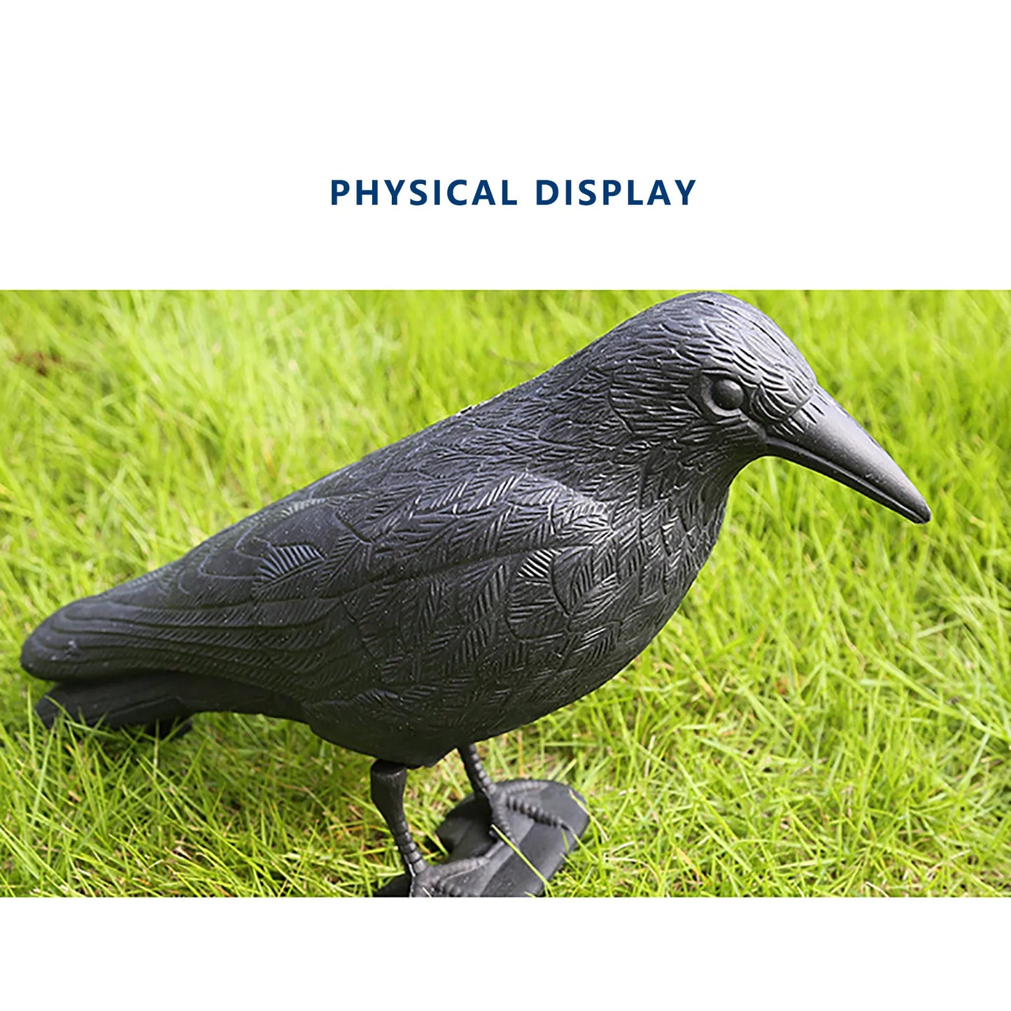 Fake Crow Bird Repellent Decoy – Pigeon & Pest Deterrent
