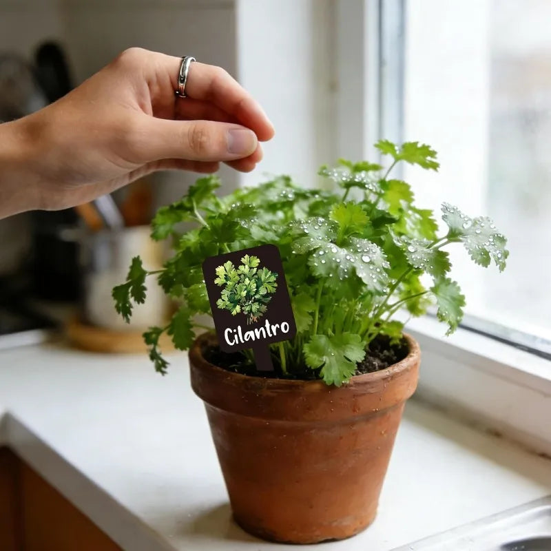 12-Pack Acrylic Herb Garden Plant Labels & Markers | Printed Names Herb Garden Markers Peaceful Pleasures Health and Wellness