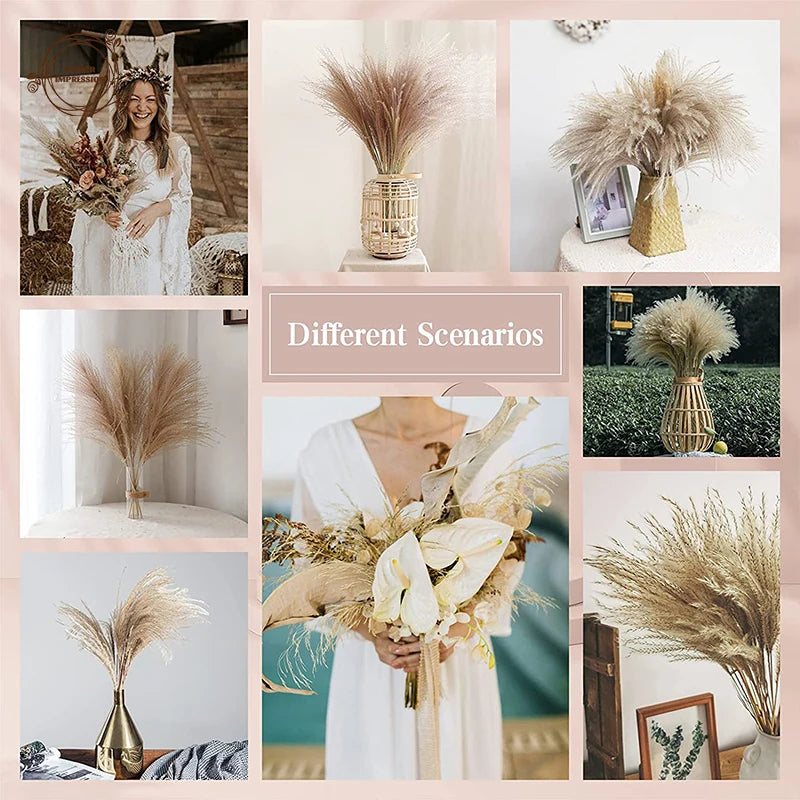 Natural Dried Pampas Grass Bunny Tails Bouquet | Boho Decor
