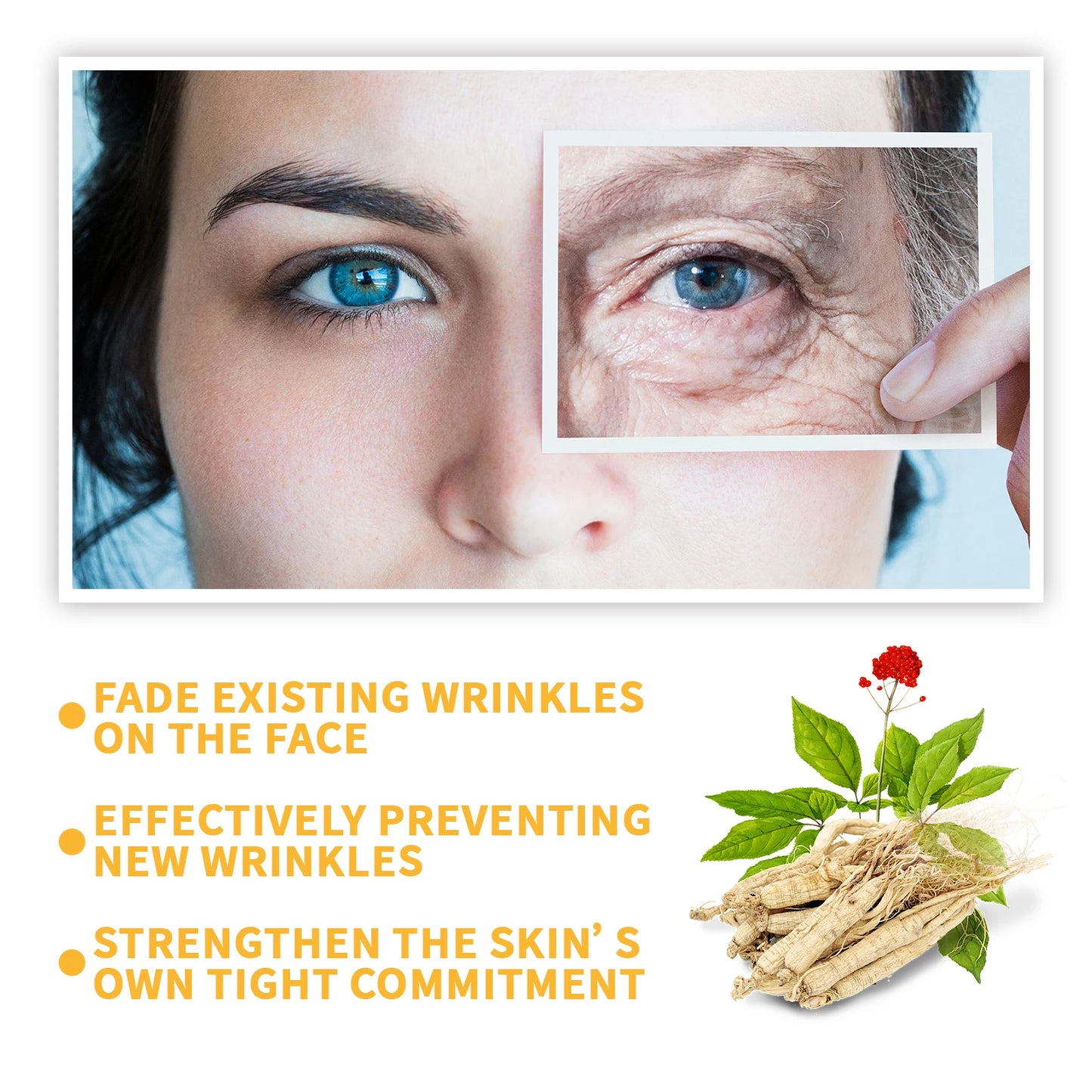 Ginseng Anti-Aging Serum – Niacinamide & Hyaluronic Acid