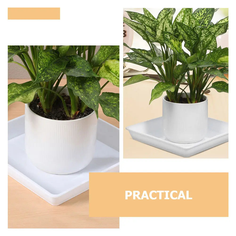 2Pcs 9.82 Inch Square Plastic Planter Saucer Thick Flower Pot Base Tray for Water Collection Drainage Outdoor Indoor Succulent Peaceful Pleasures Health and Wellness
