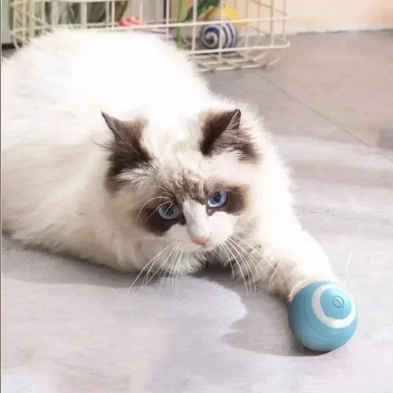 Electric Auto-Rolling Cat Ball Toy | USB Rechargeable Interactive
