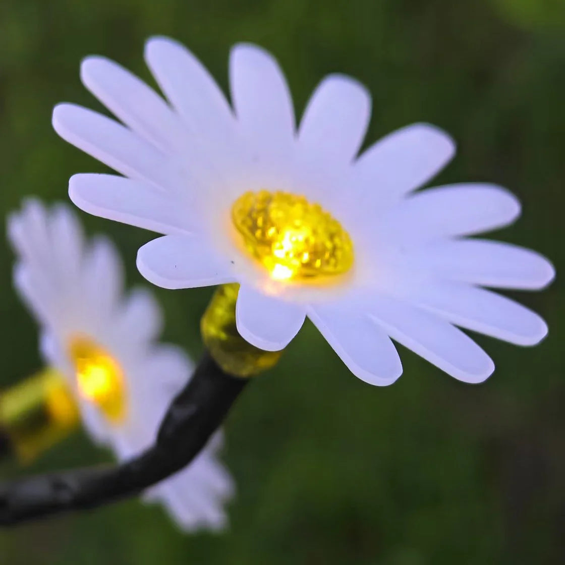 Solar Daisy LED Garden Stake Light | Outdoor Flower Decor Solar Garden Stake Light Peaceful Pleasures Health and Wellness Warm Light Green Pole 6 Lights