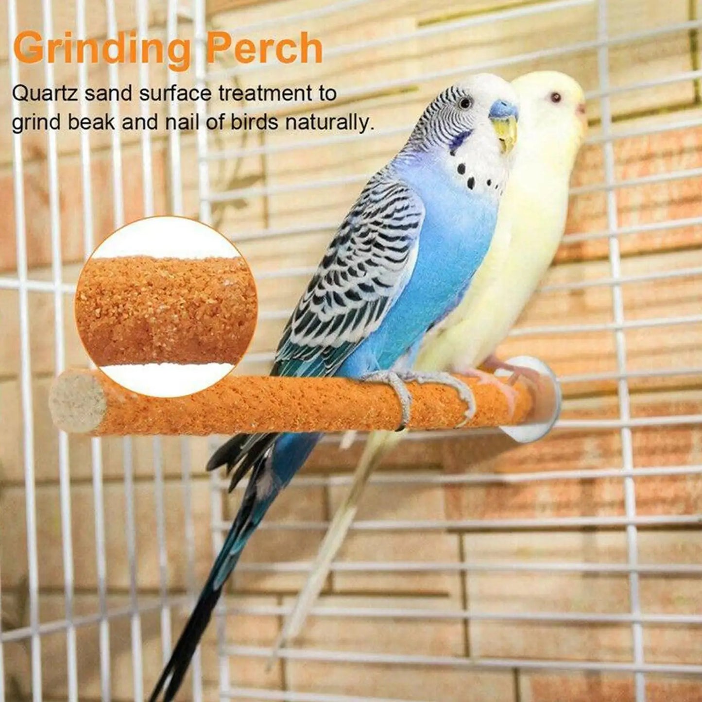 Wood Bird Perch Grinding Bar – Claw & Beak Trimming Stick