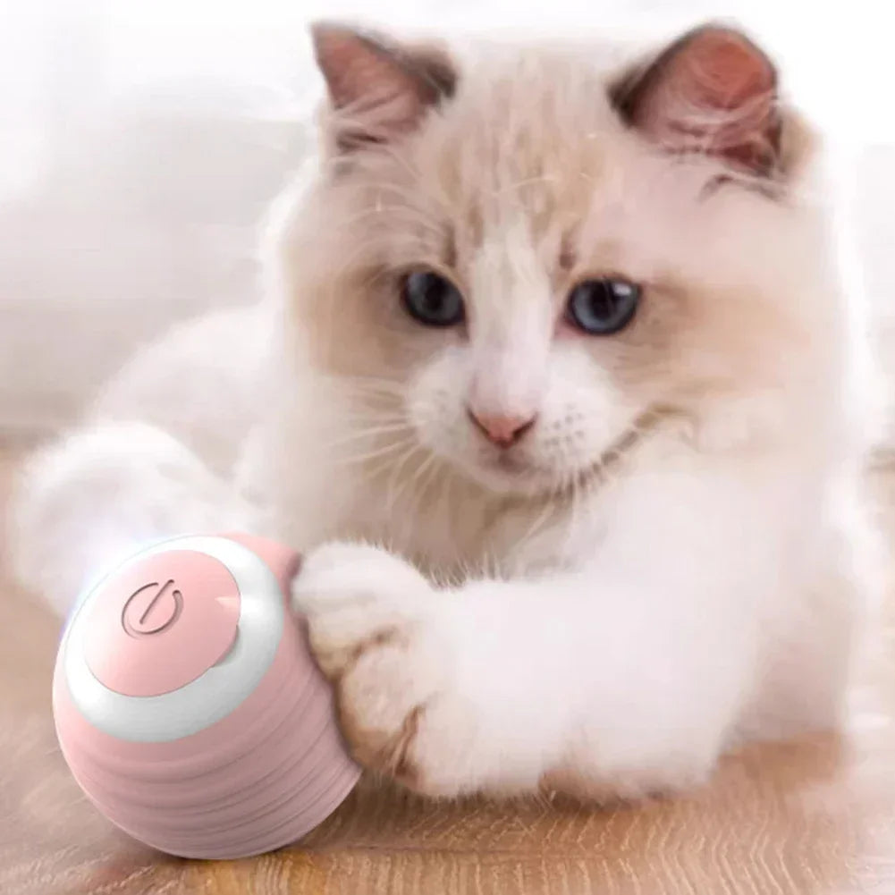 Interactive Cat Ball Toy – USB Rechargeable 360° Auto Rolling