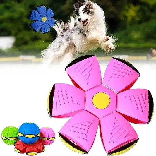 Fun Durable Elastic Flying Saucer Bouncing Ball Dog Pet Toy Suitable for Outdoor Activities and Exercise Peaceful Pleasures Health and Wellness