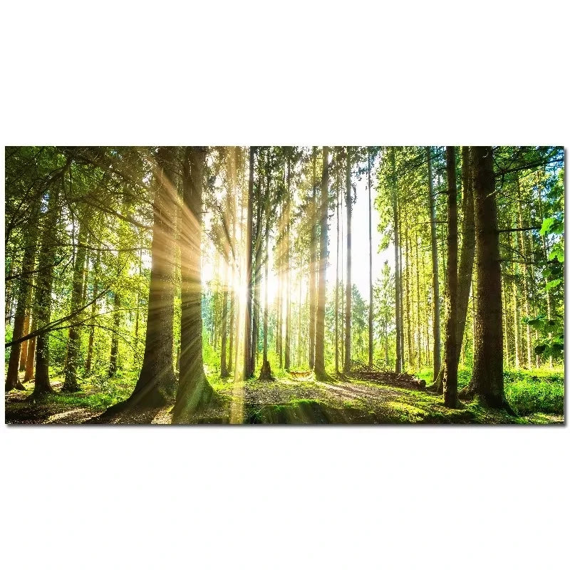 Nature Landscape Canvas Wall Art – Sunshine Forest Lake Print