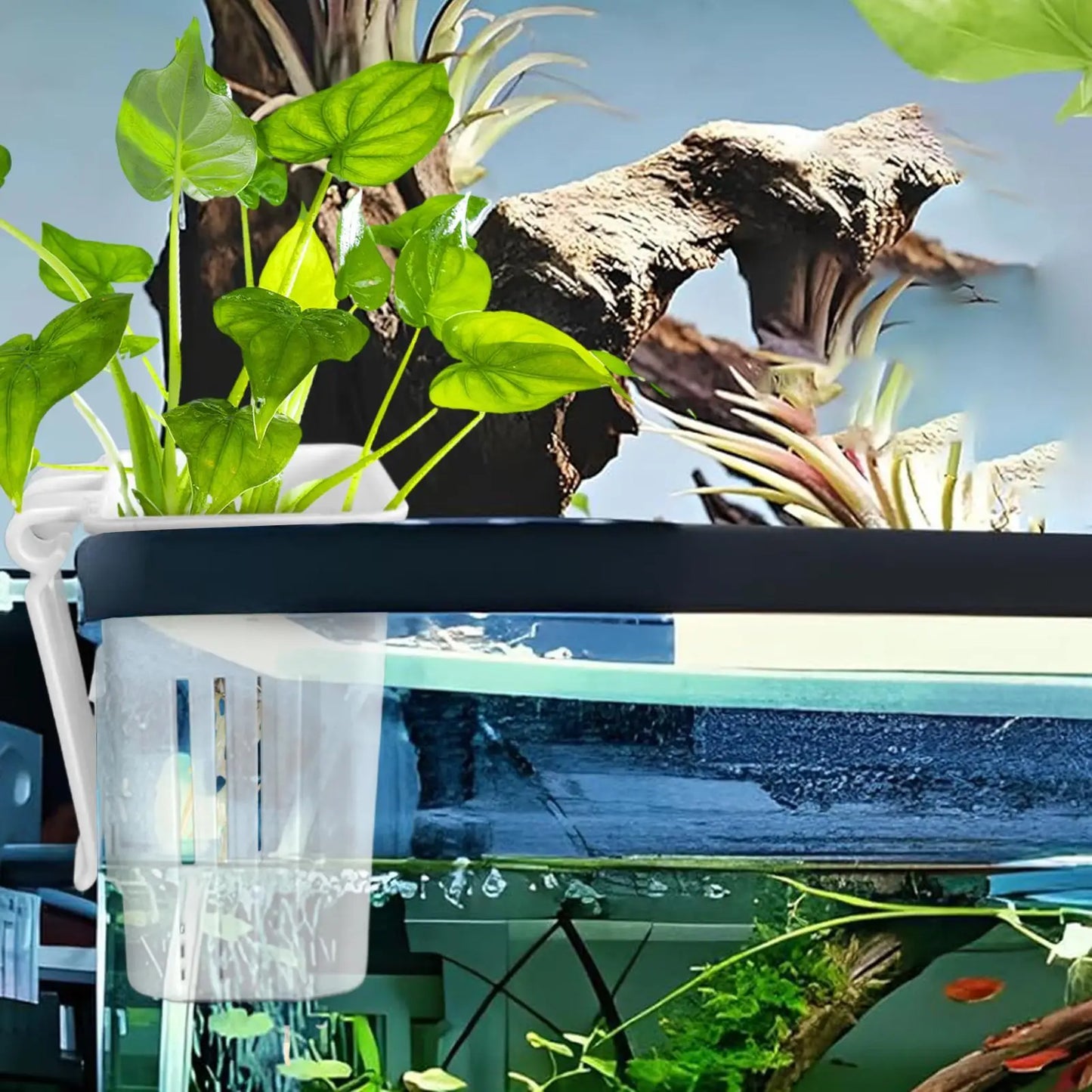 Aquarium Plant Holder – Hanging Fish Tank Planter Cup