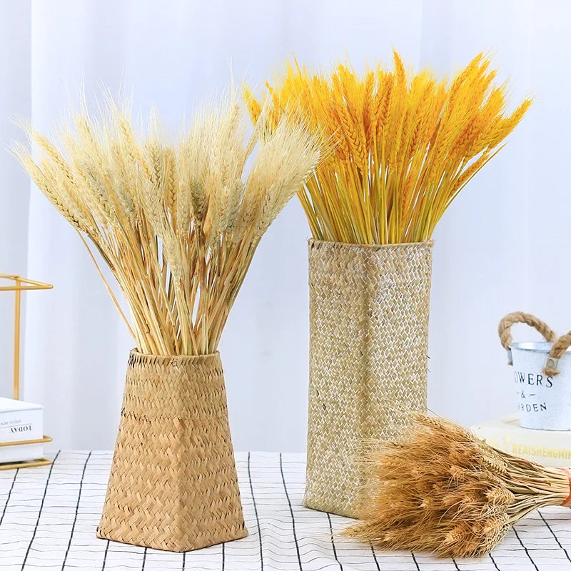 100pcs Dried Wheat Ears Bouquet – Wedding & Home Decor