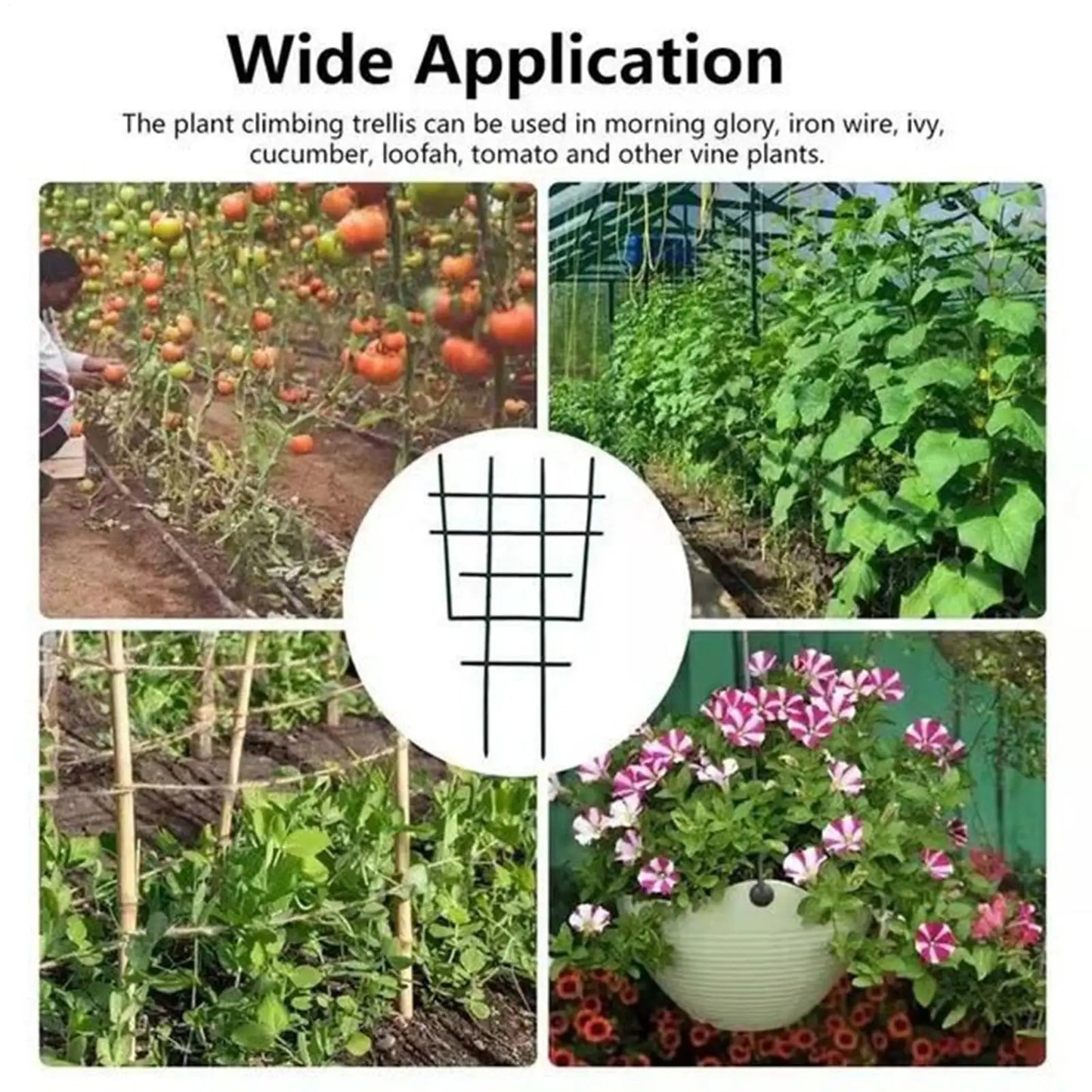 Potted Plant Trellis 10 Pieces Small Adjustable Rustproof Support Climbing Plants Support Stakes For Vine Ivy Clematis Jasmine Peaceful Pleasures Health and Wellness