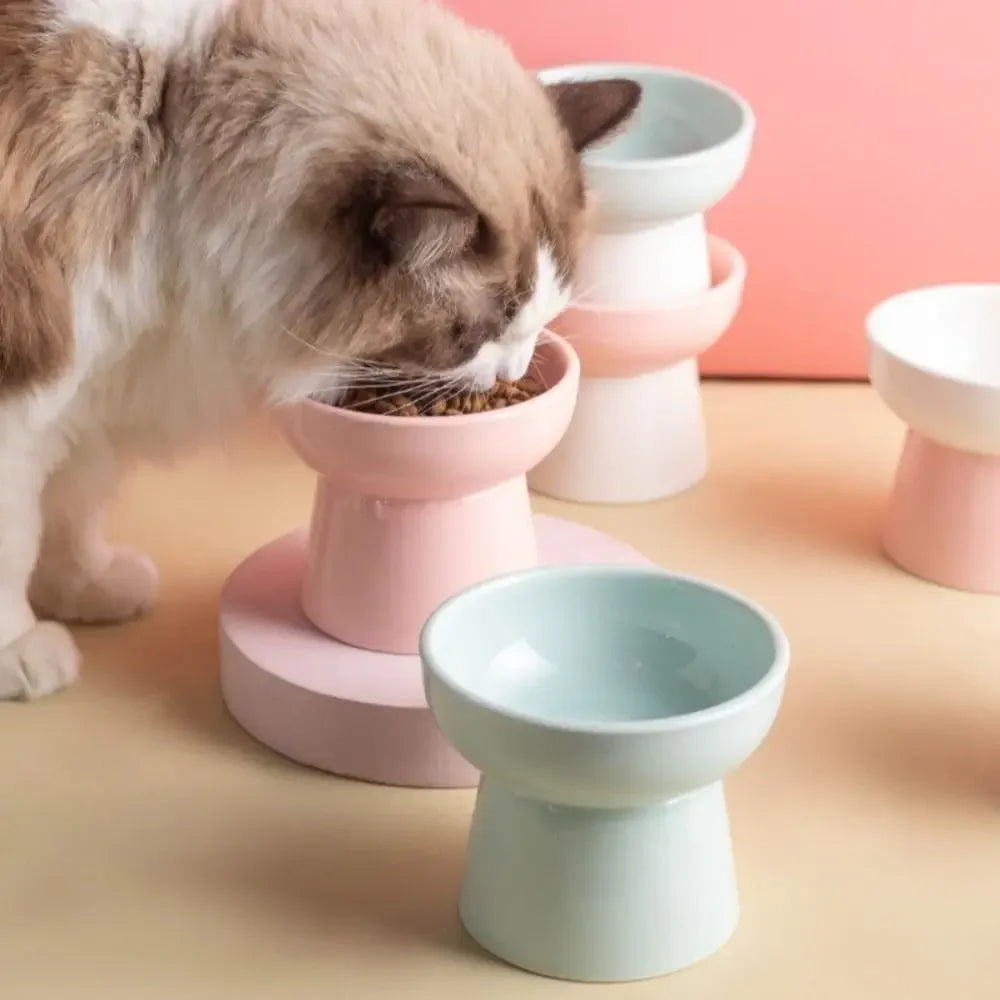 Elevated Ceramic Cat Bowl | Raised Pet Feeder 300ml
